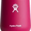 Hydro Flask 10 Oz. Wine Tumbler W/ Collapsible Lid For Unisex Snapper