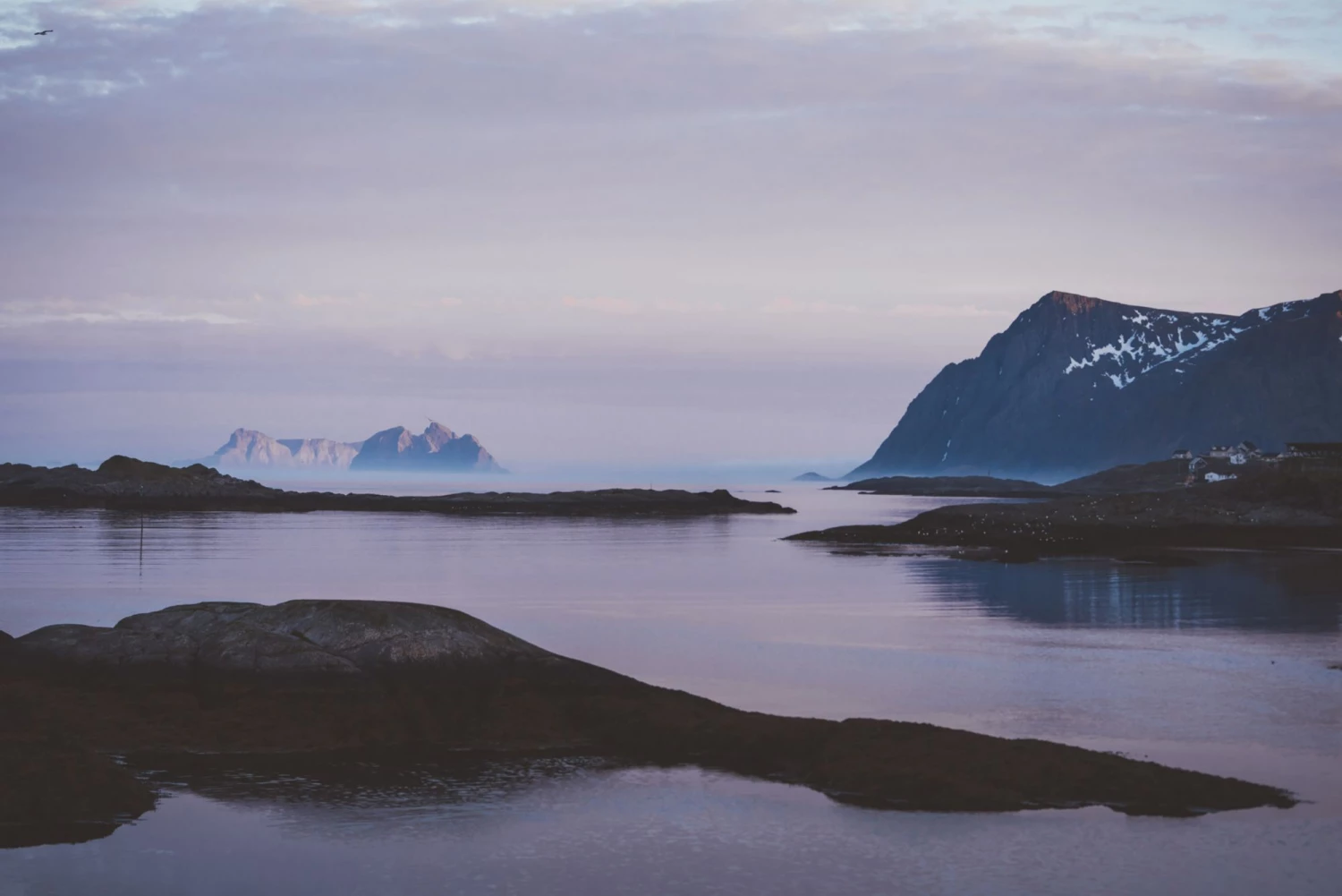 YETI Large Rambler Bottle Sling For Unisex Highlands Olive 4 YETI Large Rambler Bottle Sling For Unisex Highlands Olive - Image 4